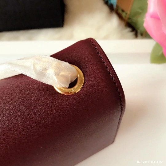 Tony Luxuries MEDIUM YSL KATE 0723